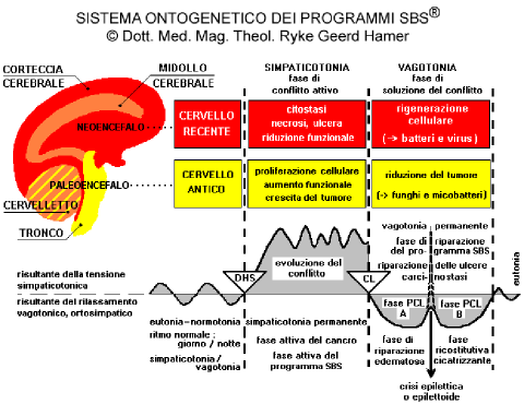sistema ontogenetico dei programmi SBS
